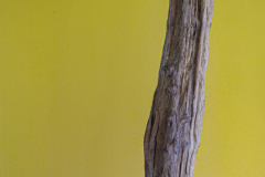 Schwemmholz Ständer