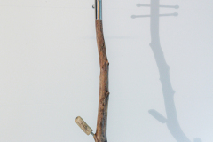 IMG_20241007_163004-4893