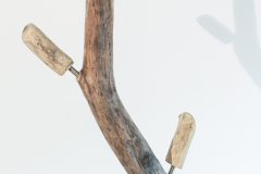 IMG_20241007_163013-4894