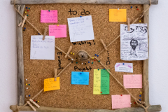 Schwemmholz Pinnwand